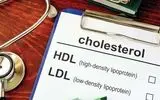 کلسترول خوب (HDL) چیست ؟ + سطح مطلوب، علائم کمبود و روش های افزایش