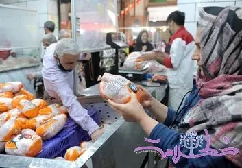 عرضه گوشت تنظیم بازاری به صورت بسته‌بندی با قیمت‌های جدید