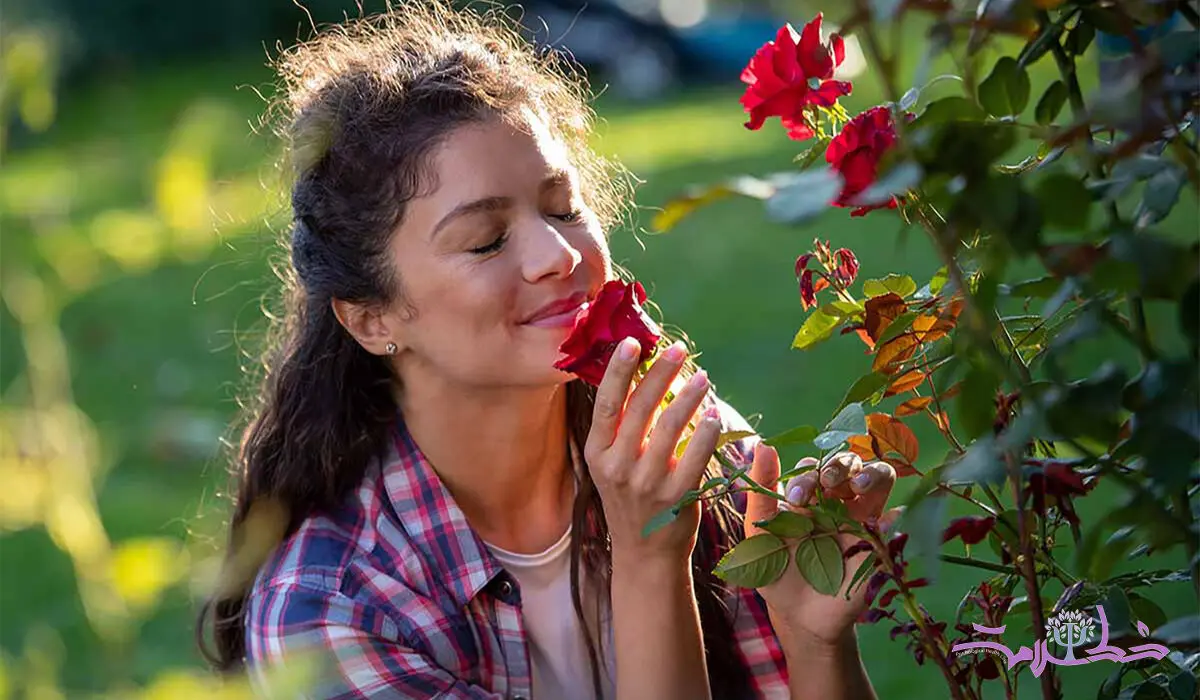 ویژگی های شخصیتی افرادی که محبوب دلها می شوند