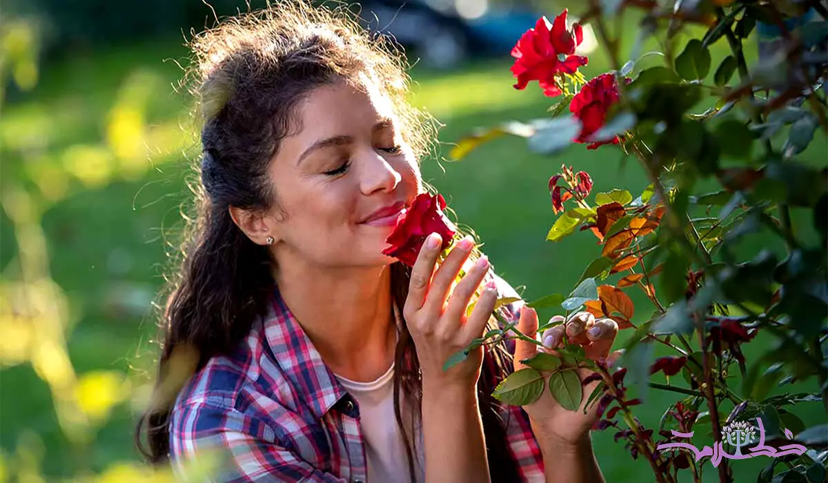 ویژگی های شخصیتی افرادی که محبوب دلها می شوند