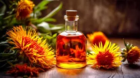 فواید شگفت انگیز روغن گلرنگ برای سلامتی