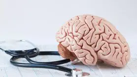 کاهش انرژی مغز در یائسگی + رژیم غذایی برای مه مغزی یائسگی