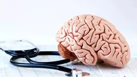 کاهش انرژی مغز در یائسگی + رژیم غذایی برای مه مغزی یائسگی