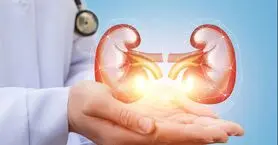 یافته ای تازه در مورد کلیه‌های سنگ‌ساز