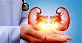یافته ای تازه در مورد کلیه‌های سنگ‌ساز