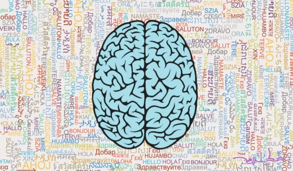 تبعات یادگیری زبان انگلیسی و آموختنش در مغز