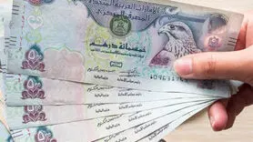 درهم امارات چند؟ / آخرین قیمت درهم امارات امروز شنبه 5 آبان 1403
