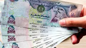 درهم امارات چند؟ / آخرین قیمت درهم امارات امروز سه شنبه 24 مهر 1403