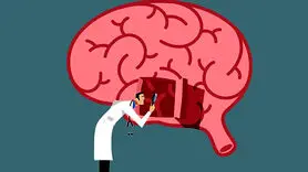 ۱۷ ترفند تقویت حافظه تا آلزایمر نگیرید
