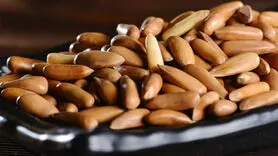 گران‌ترین آجیل دنیا چه فوایدی دارد؟