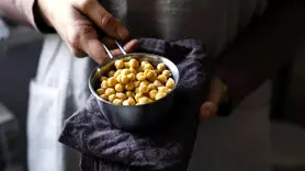 پروتئین حیوانی برای کاهش وزن بهتر است یا پروتئین گیاهی ؟