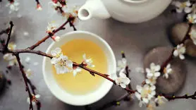 5 خاصیت شگفت انگیز چای سفید + طرز تهیه و دم کردن