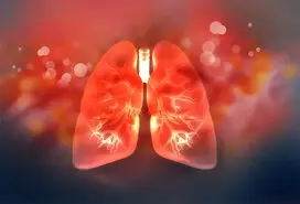 آیا ریه ها پس از ترک سیگار بهبود پیدا می کنند؟ + اتفاقات بعد از ترک سیگار 