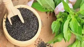 4 خاصیت تخم ریحان که کمتر کسی می داند