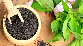 5 خاصیت تخم ریحان بر سلامت روانی و جسمانی 