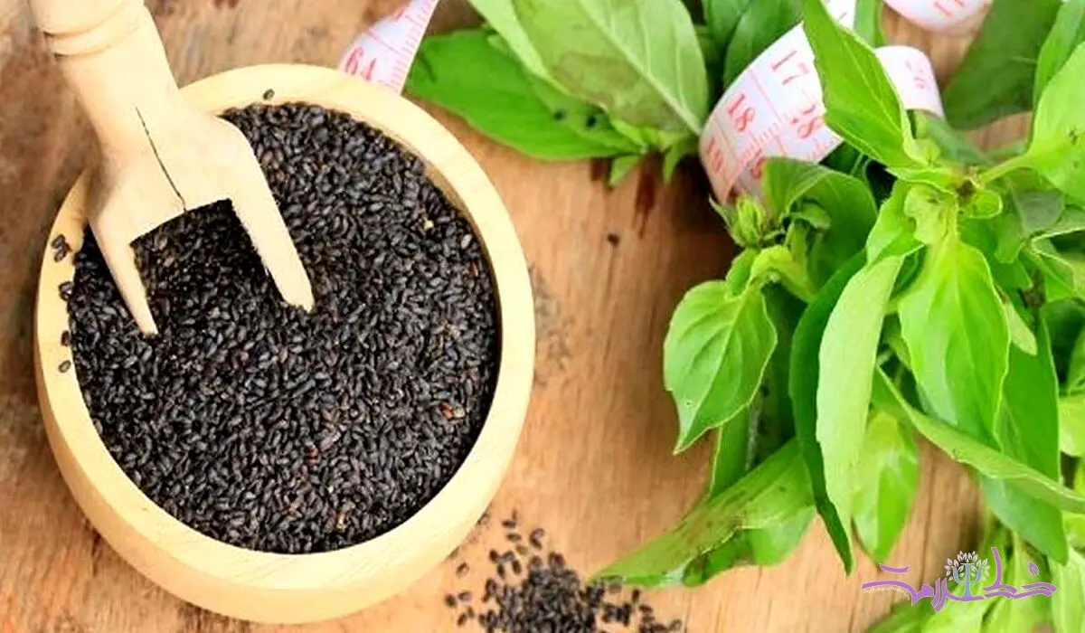 4 خاصیت تخم ریحان که کمتر کسی می داند