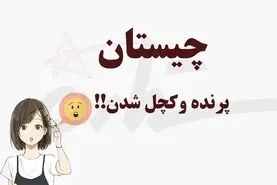 تست هوش/ چه پرنده‌ای اگر بیوه شود طاس خواهد شد؟
