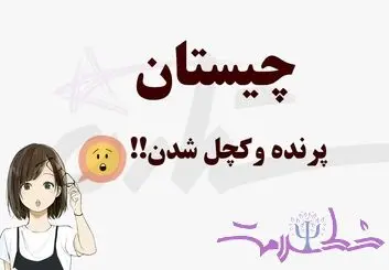 تست هوش/ چه پرنده‌ای اگر بیوه شود طاس خواهد شد؟
