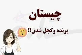 تست هوش/ چه پرنده‌ای اگر بیوه شود طاس خواهد شد؟
