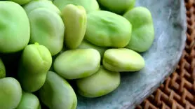 تاثیر باقلا بر چین و چروک پوست