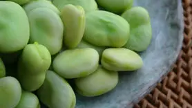 تاثیر باقلا بر چین و چروک پوست