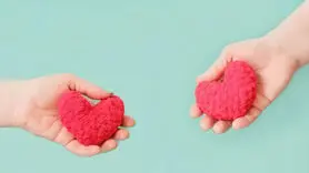 عشق و نیاز جنسی چه تفاوتی دارند؟ / چگونه بفهمیم عاشق یا گرفتار نیاز جنسی شده ایم