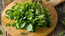 تاثیر سبزی شاهی بر تنظیم قند خون