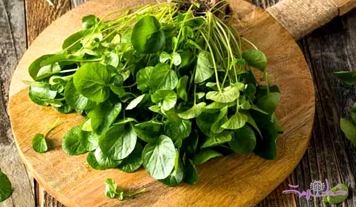 تاثیر سبزی شاهی بر تنظیم قند خون