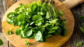 تاثیر سبزی شاهی بر تنظیم قند خون
