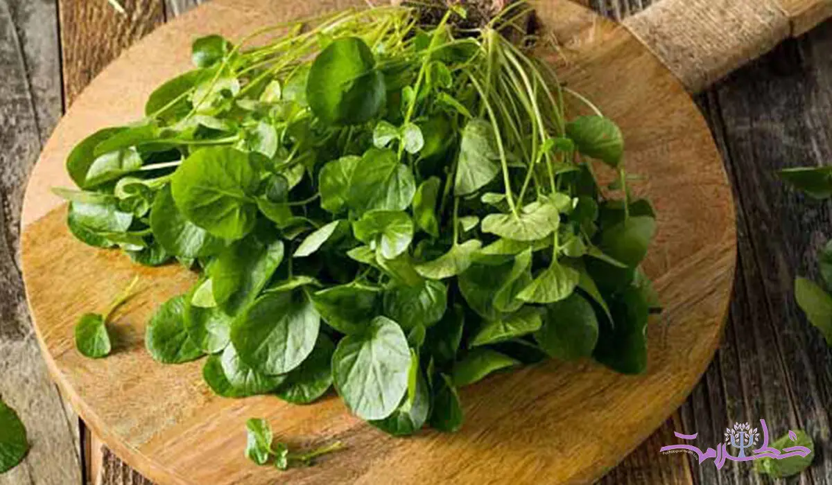تاثیر سبزی شاهی بر تنظیم قند خون
