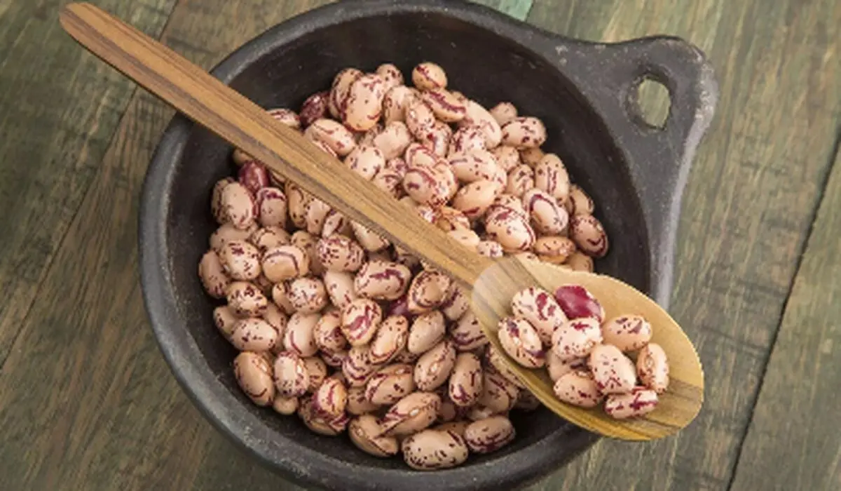 افزایش نجومی قیمت لوبیا چیتی؛ چه انتظاری داریم؟