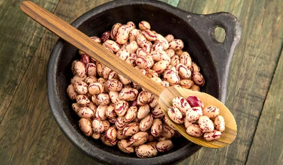 افزایش نجومی قیمت لوبیا چیتی؛ چه انتظاری داریم؟