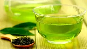 چای سبز دمنوشی جادویی و شگفت آور برای تقویت حافظه 