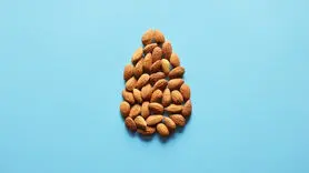 گیاه خوارها چه چیزی بخورند بدن شان عضلانی می شود؟