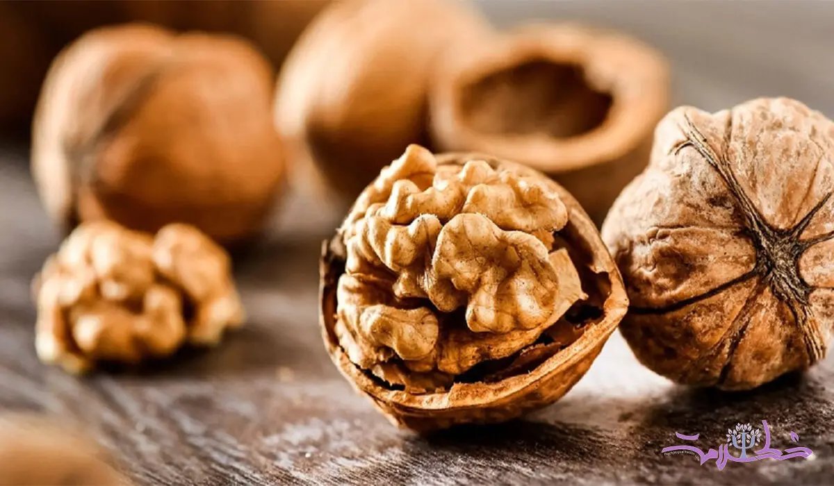 مغز با کدام ماده غذایی سالم می ماند؟