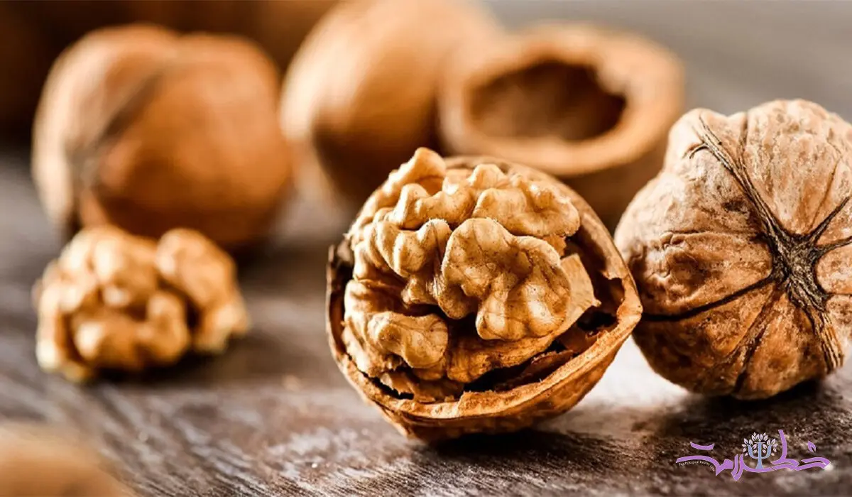 مغز با کدام ماده غذایی سالم می ماند؟