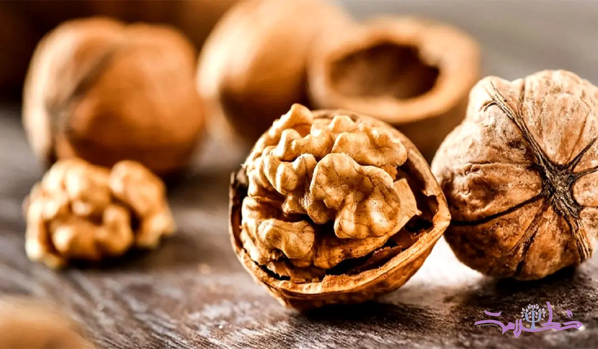 مغز با کدام ماده غذایی سالم می ماند؟