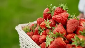 اگر می خواهید پسردار شوید از این میوه خوشمزه بیشتر بخورید