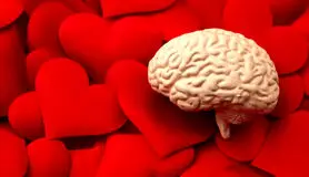 «عشق» مغز را از ابتلا به آلزایمر نجات می‌دهد