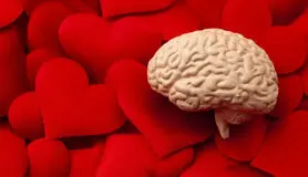 «عشق» مغز را از ابتلا به آلزایمر نجات می‌دهد
