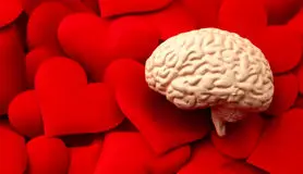 «عشق» مغز را از ابتلا به آلزایمر نجات می‌دهد