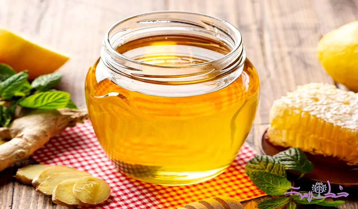 آیا عسل واقعاً برای شما مفید است؟ +  عسل بدون زنبور چیست؟