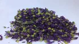  این آنتی بیوتیک قوی در هیچ عطاری و داروخانه ای پیدا نمی شود