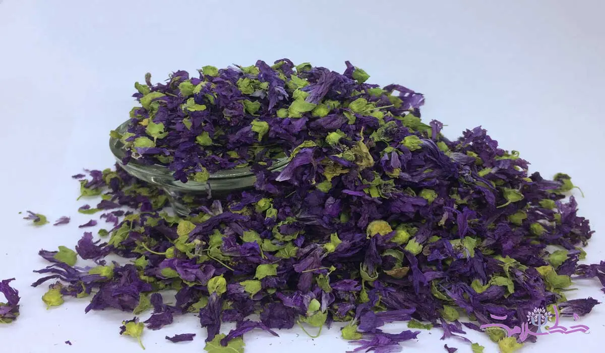  این آنتی بیوتیک قوی در هیچ عطاری و داروخانه ای پیدا نمی شود