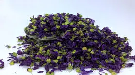  این آنتی بیوتیک قوی در هیچ عطاری و داروخانه ای پیدا نمی شود