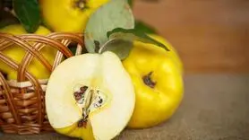 معجزه به برای سلامتی شگفت آور است / تا تمام نشده بخورید