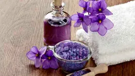 ملکه بنفش روغن های گیاهی را بشناسید!