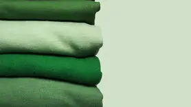 روانشناسی رنگ / شخصیت شناسی افرادی که طرفدار رنگ سبز هستند