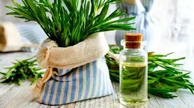 خداحافظی با ریزش مو با روغن رزماری