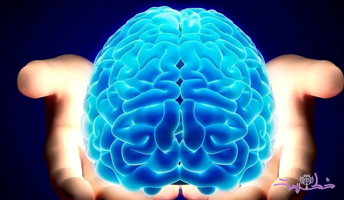  راهکار خانگی کاهش علائم آلزایمر بدون هزینه و دارو